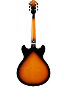Ibanez AS113 - BS 2