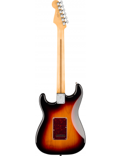 Fender Stratocaster Player... 2