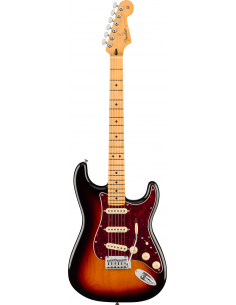 Fender Stratocaster Player...