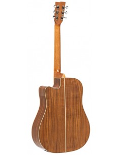 Stagg SA45DCE - AC 2