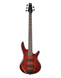 Ibanez GSR205SM - CNB