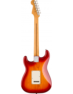 Fender Stratocaster Player... 2