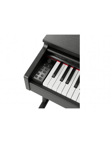 GEWA DP510 Negro GEWA DP510 Negro