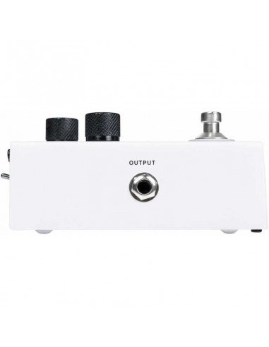 MOOER MVP1 Loopation