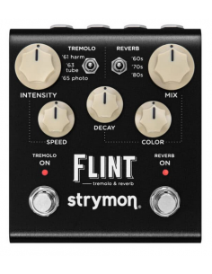Strymon Flint V.2