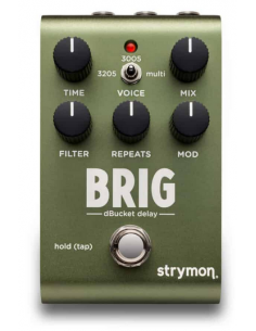 Strymon Brig - dBucket delay