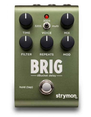 Strymon Brig - dBucket delay