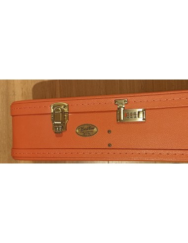 Estuche rígido Boston para guitarras...