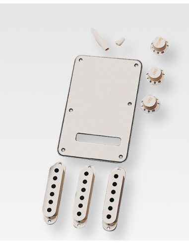 Fender Stratocaster Accessory Kit
