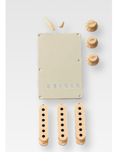 Fender Aged White...