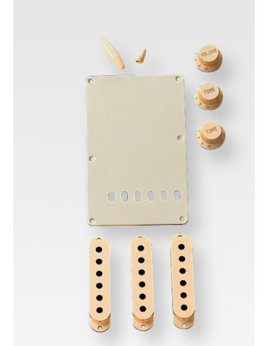 Fender Aged White Stratocaster...