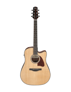 Ibanez AAD51CE NT