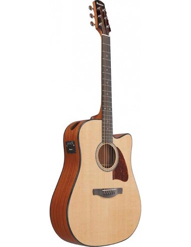 Ibanez AAD51CE NT
