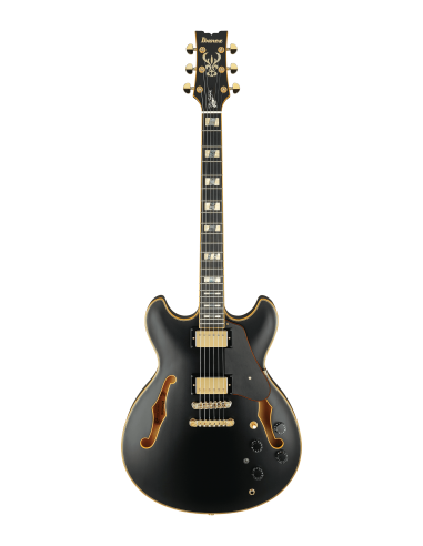 Ibanez JSM-20 VT John Scofield