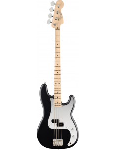 Fender Precision Bass Steve...