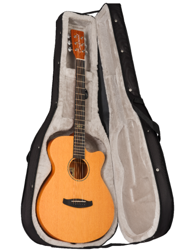 Tanglewood TRGT4CE Roadster GT