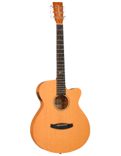 Tanglewood TRGT4CE Roadster GT 2