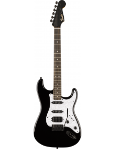 Fender Stratocaster LTD...